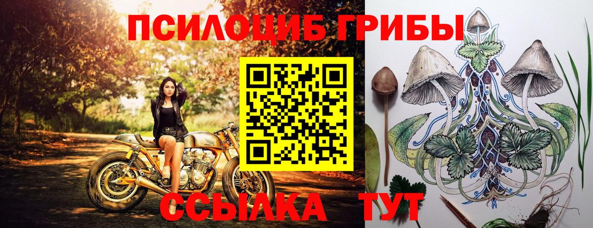 Псилоцибиновые грибы MAGIC MUSHROOMS Домодедово